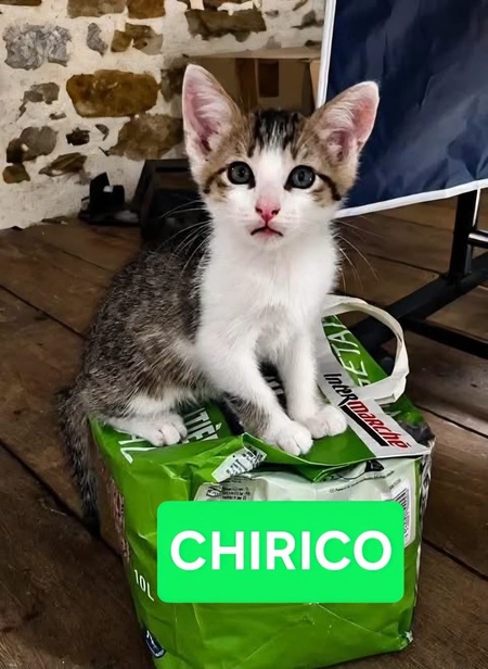 CHIRICO