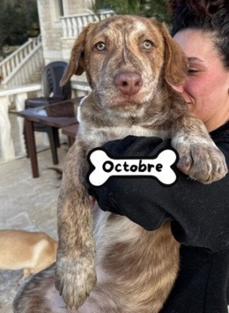 Octobre