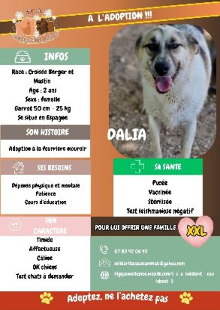 Dalia