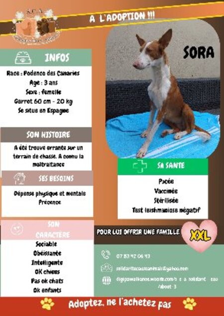 Sora