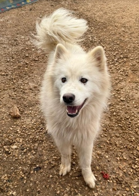 Cloud