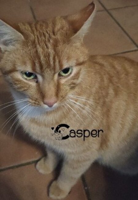Casper