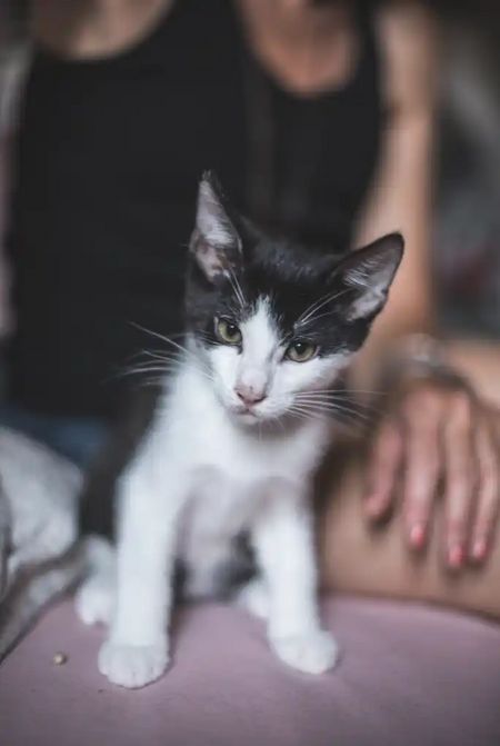 Bill