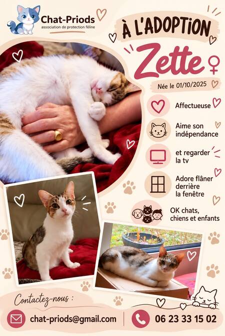 Zette