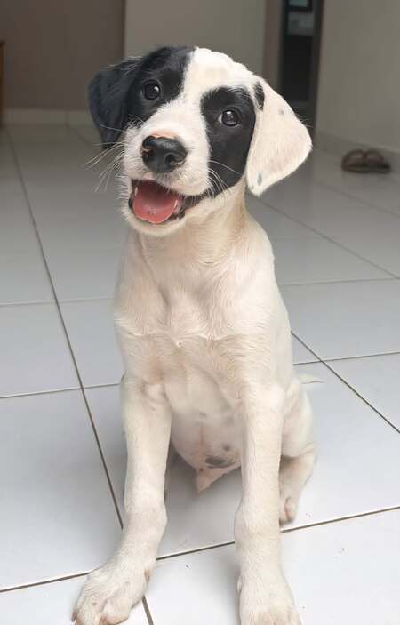 Billy