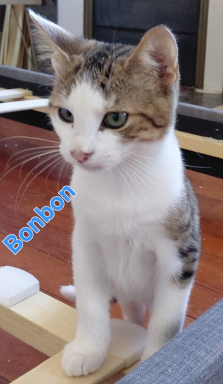 Bonbon