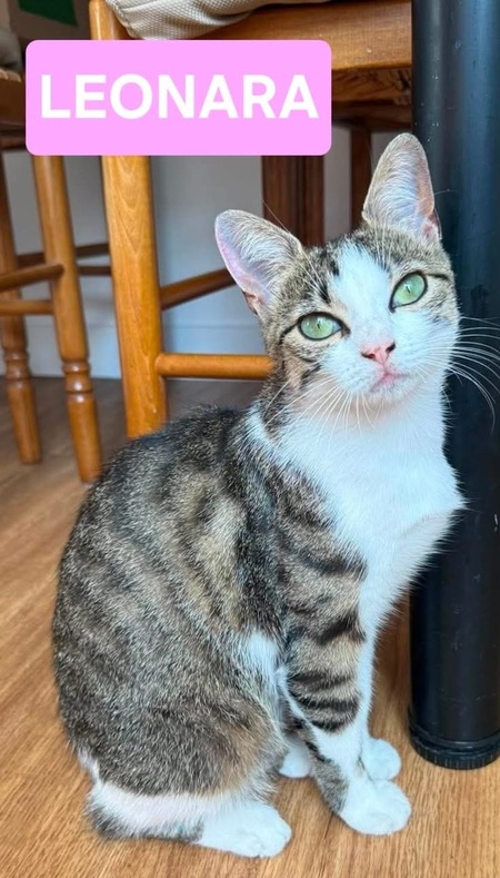 LEONARA