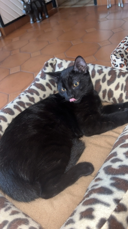 Bouba