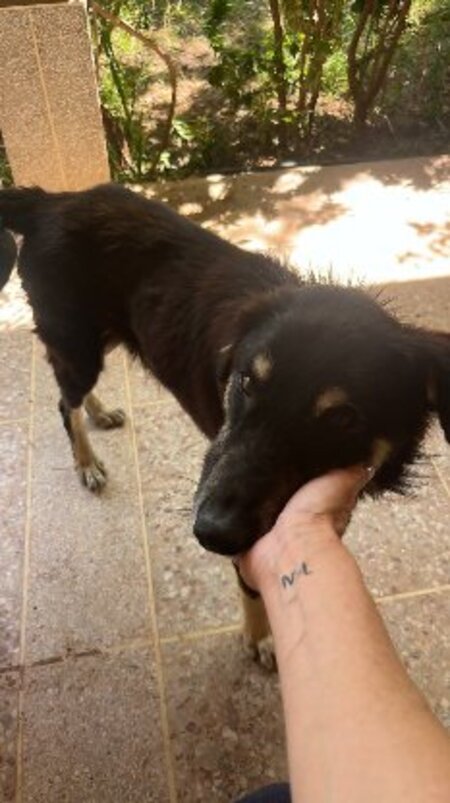Blacky