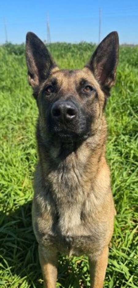 Ragnar