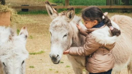 Nouvelle ferme à La Villette : apprendre aux enfants à respecter et aimer les animaux