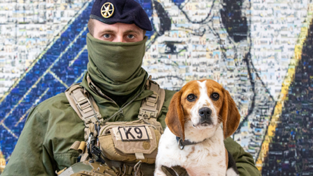 Une beagle intègre l’armée de terre, une première pour cette race
