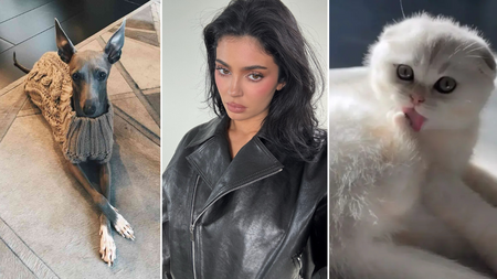 Kylie Jenner accueille un chaton 2 semaines après le décès de son chien : est-ce trop tôt ?