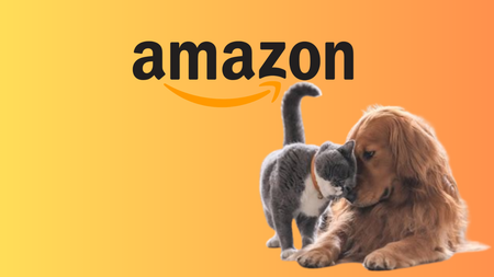 Amazon casse les prix de ces 3 objets indispensables pour parents chiens et chats !