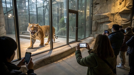 Bien être animal : les zoos modernes sont-ils pires que les anciens cirques ? (étude)
