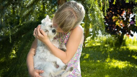 Pourquoi votre chien n’aime pas les câlins (même s’il vous aime)
