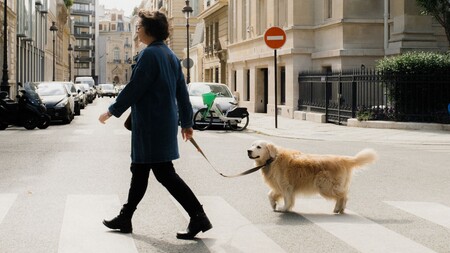Crottes de chien : certaines villes utilisent désormais l’ADN pour retrouver les propriétaires