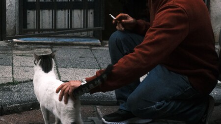 Tabagisme passif : un danger sous-estimé pour les chiens et les chats