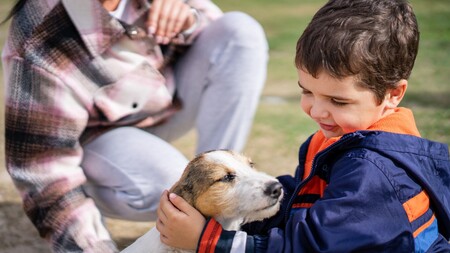 « Pourquoi toutes ces questions ? » : comment les refuges préparent une adoption durable