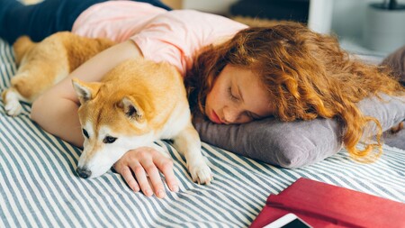 Stress des examens : et si dormir avec son animal aidait vraiment à l’apaiser ?