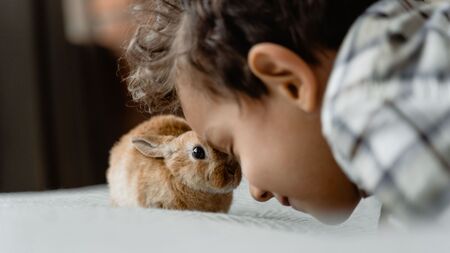 Votre enfant réclame un animal ? Voici pourquoi il ne faut surtout pas craquer trop vite