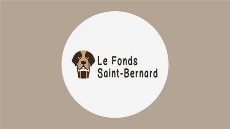 Coussinets blessés, que faire ?