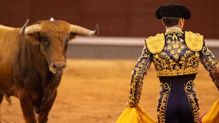 Corrida à Palavas-les-Flots : Un projet scandaleux ravive le débat sur le bien-être animal