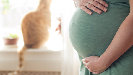 Préparer son chat à l’arrivée d’un bébé