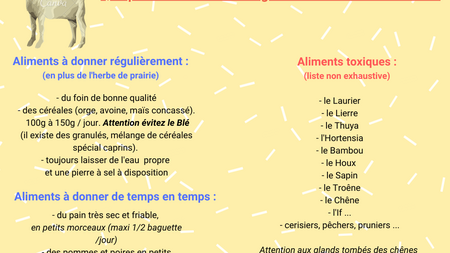 Les aliments pour les chèvres