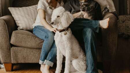 Vermifuger son chien ou son chat : Pourquoi, Quand, Comment ?
