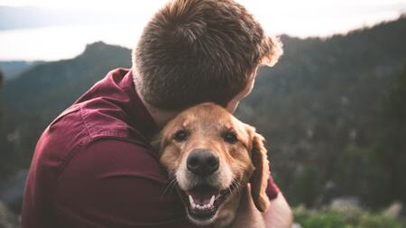 Comment faire face au décès de son animal ?