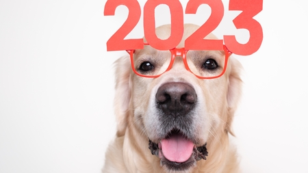 Le bilan 2023 du Fonds Saint Bernard