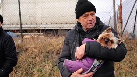 Comment aider les animaux en Ukraine