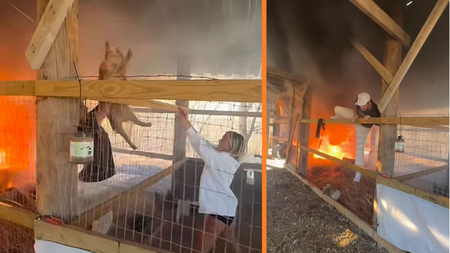 Il sauve ses chèvres de sa grange en flamme : la vidéo choc