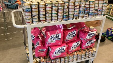Chats : 1315 boites de pâtée et 315L de litière collectés !