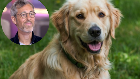 Michael Goldman parle de son amour pour sa chienne Wendy et de ce qu'en dit sa famille