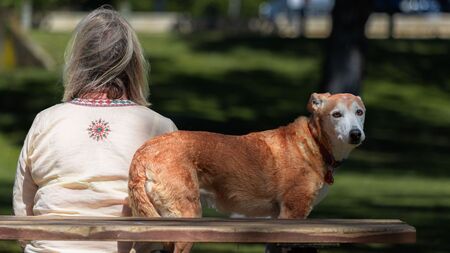 « Fardeau de l'aidant » : Ce syndrome méconnu qui touche les propriétaires de chats et chiens