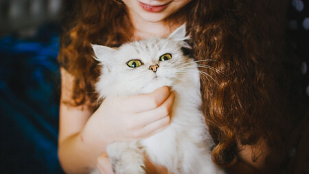 Pourquoi faire identifier son animal ?