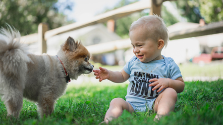 Adopter un chien comme animal de compagnie : avantages, aspects à considérer et exigences