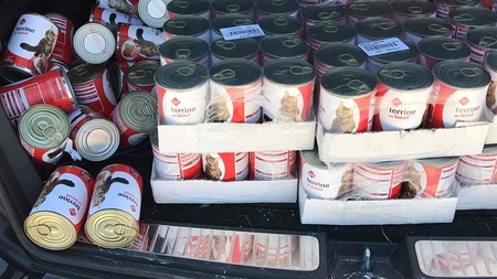 Distribution de 157 boites de pâtées pour chat