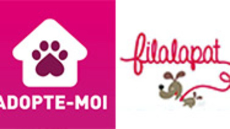 Zoom sur deux applications dédiées aux animaux 