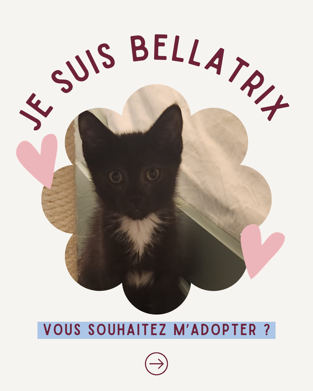 Adopter Bellatrix