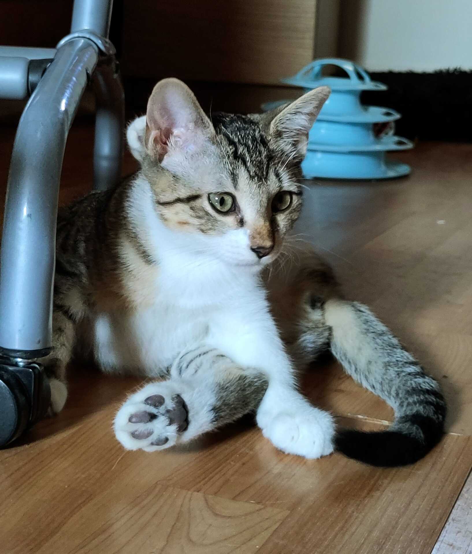 Adoption Marie
