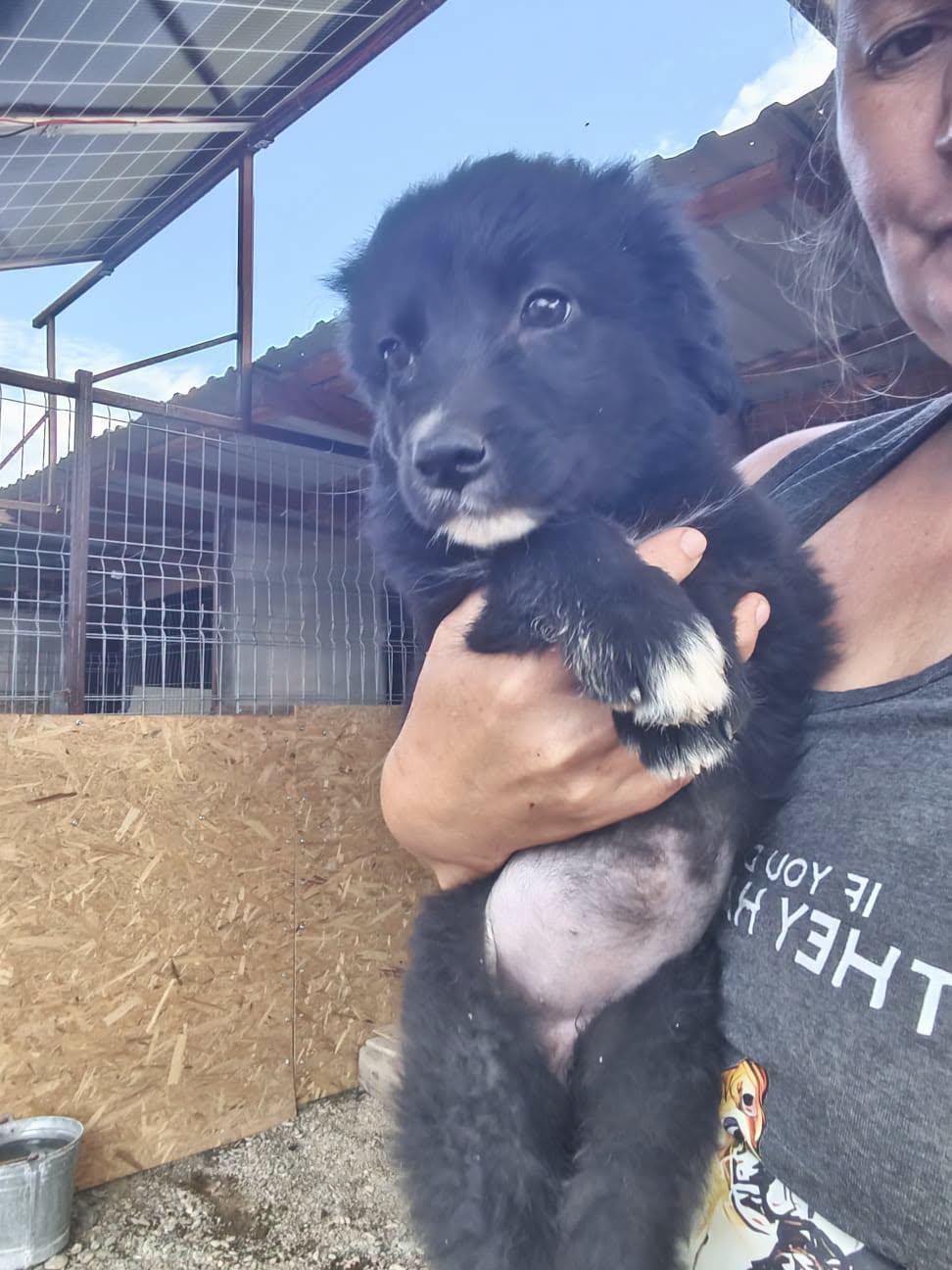 Adopter SONIA
