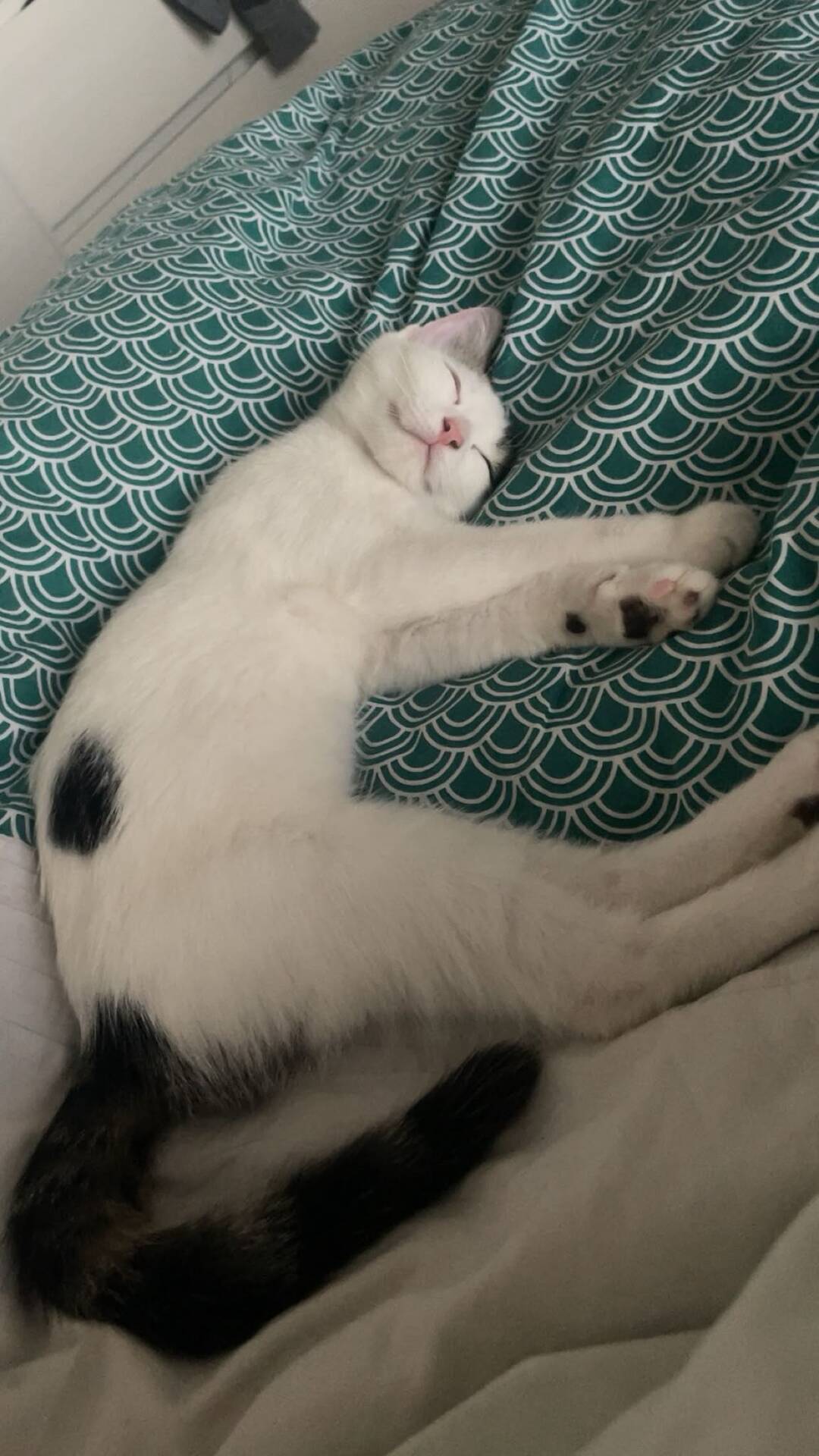 Adopter NAMI
