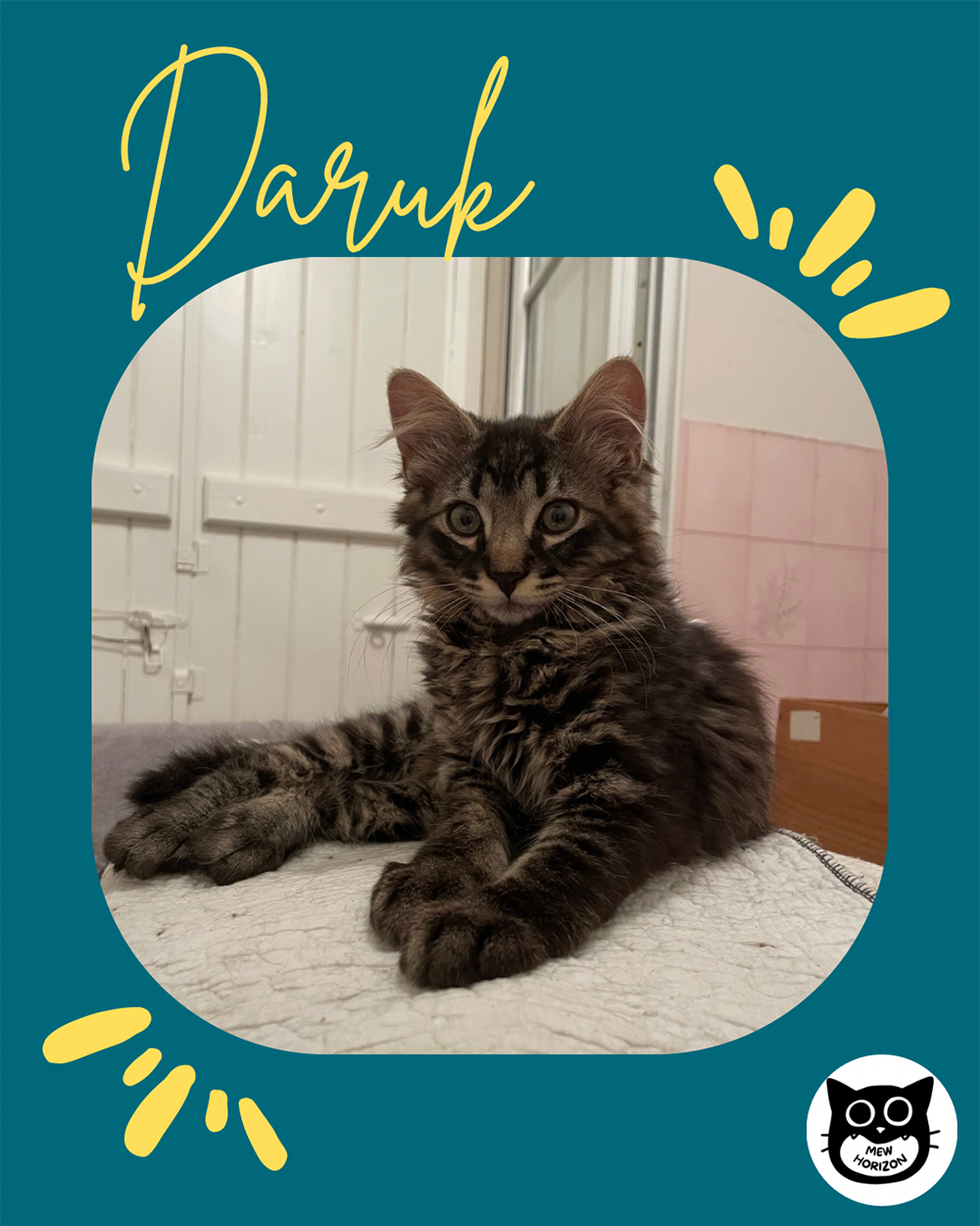 Adopter Daruk