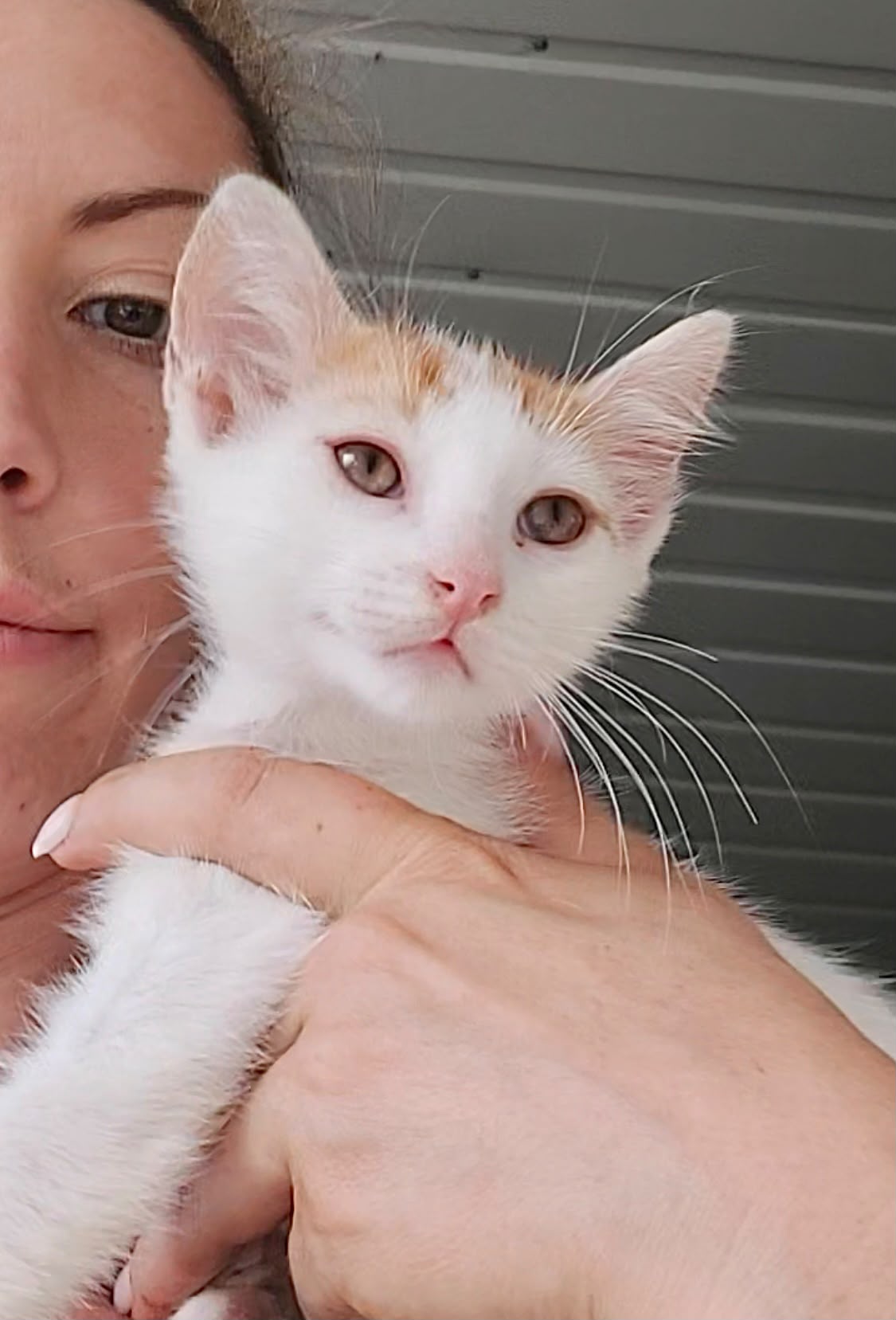 Adopter NINA