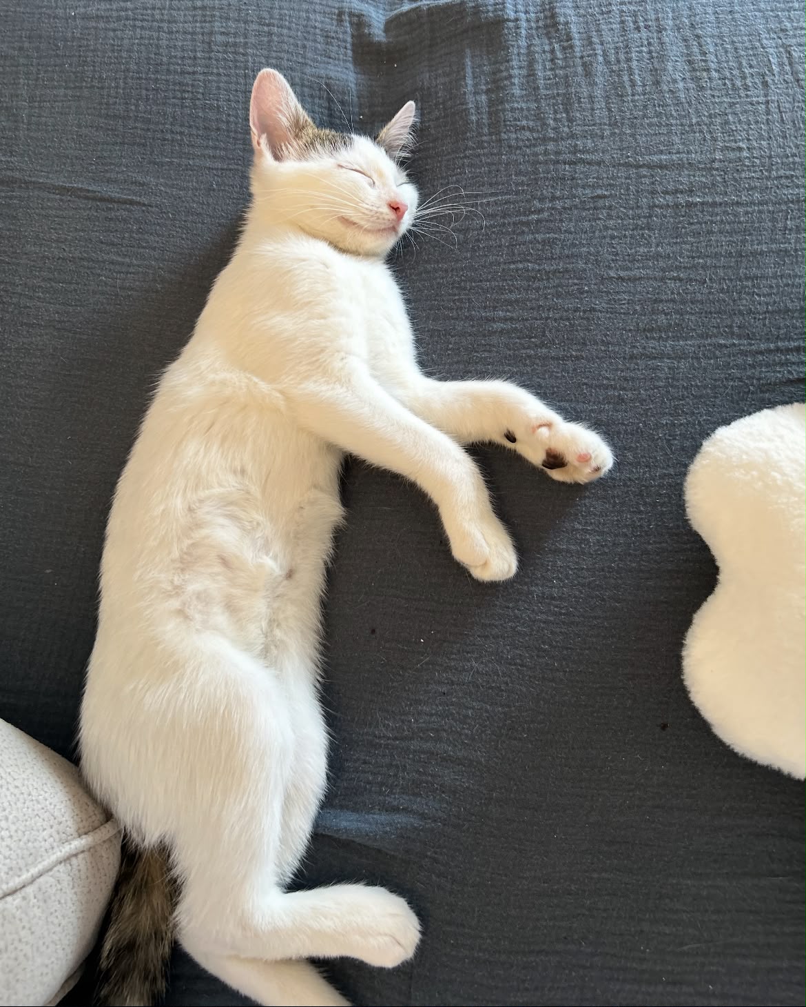 Adoption NAMI