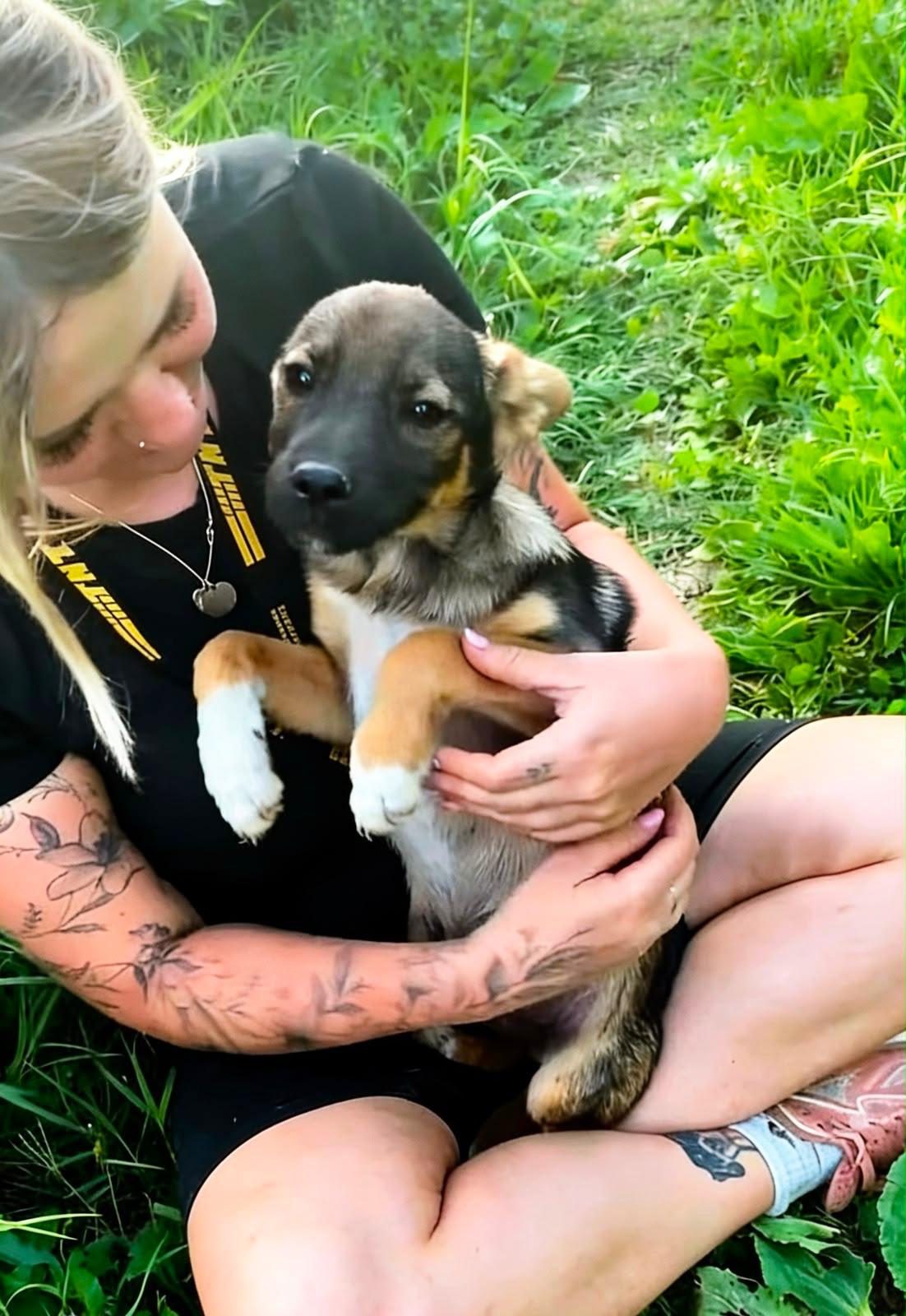 Adoption BRIO