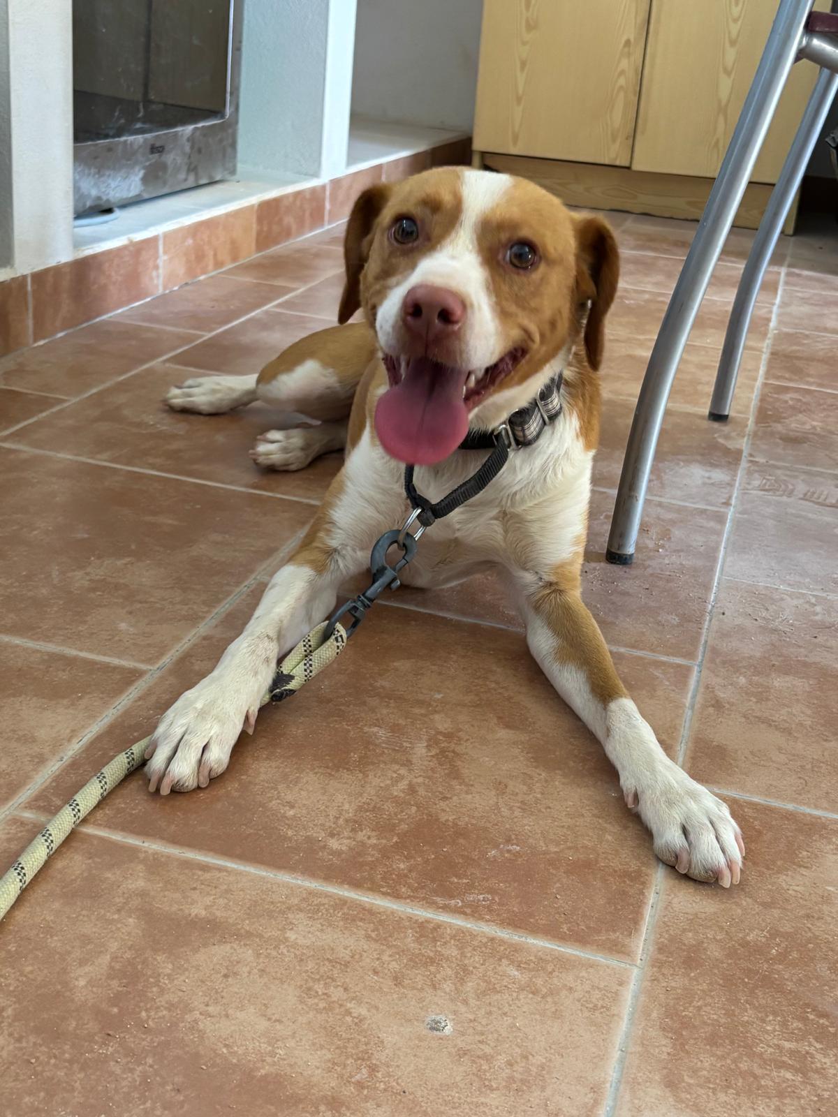 Adopter MUÑECO